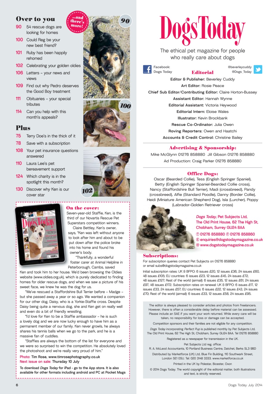Dogs Today Magazine Preview Pages