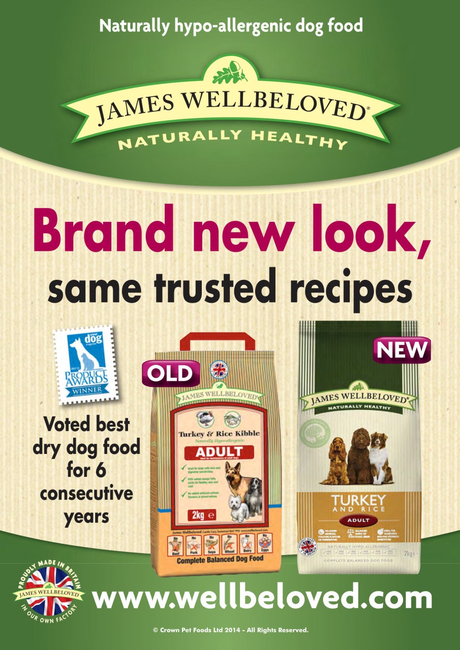 Dogs Today Magazine Preview Pages