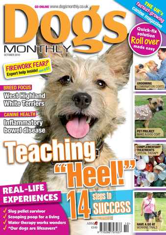 Dogs Monthly issue October 2010