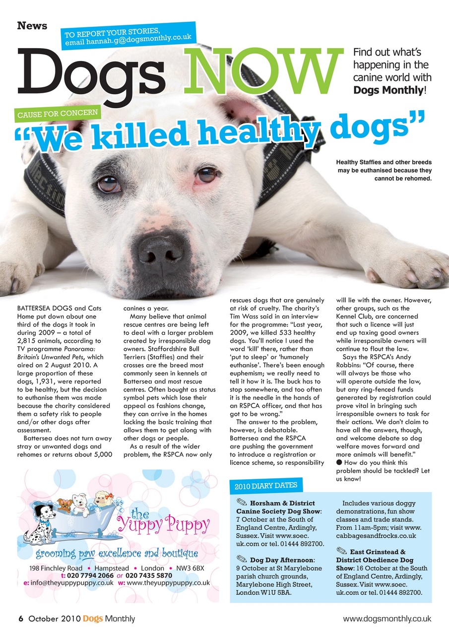 Dogs Monthly Preview Pages