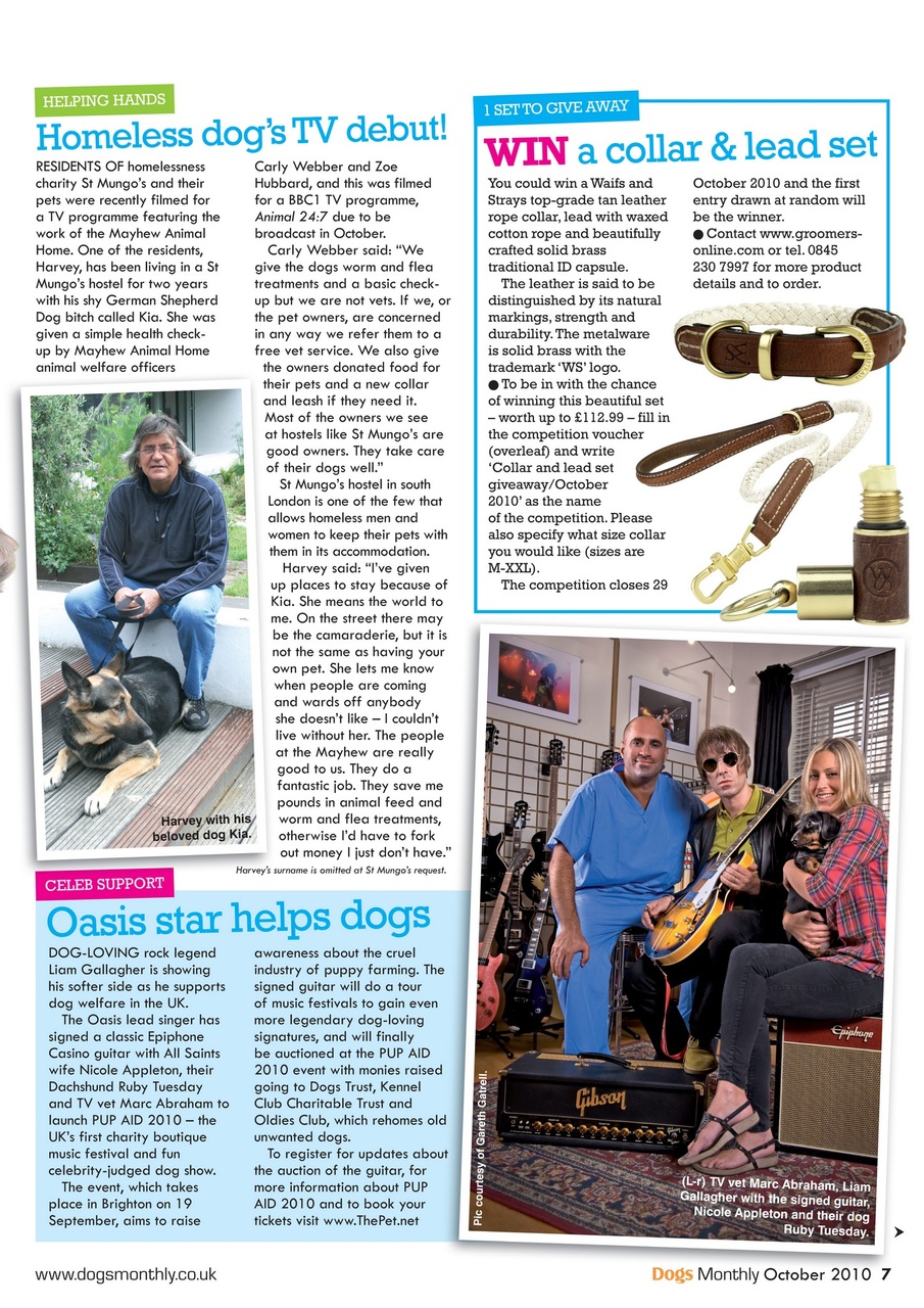 Dogs Monthly Preview Pages