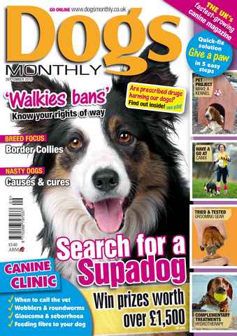 Dogs Monthly issue September 2010