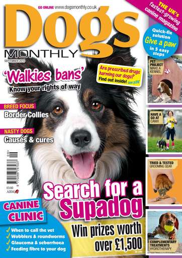 Dogs Monthly issue 