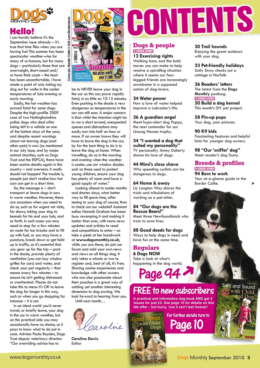 Dogs Monthly Preview Pages