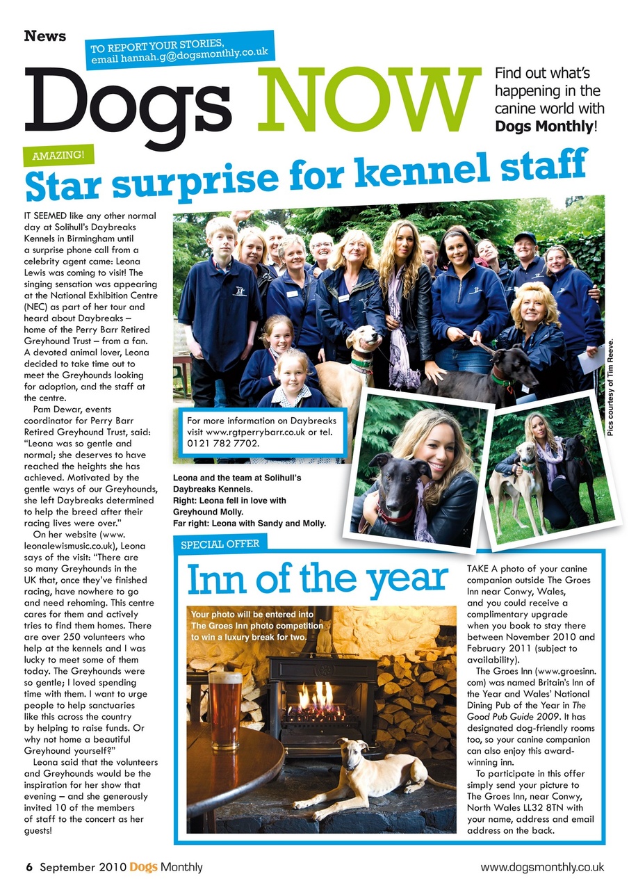 Dogs Monthly Preview Pages