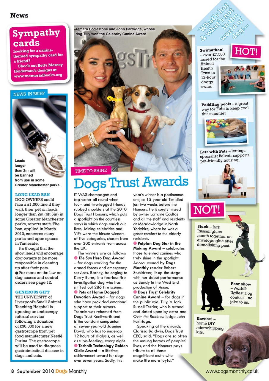 Dogs Monthly Preview Pages