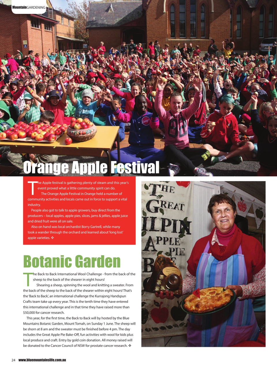 Blue Mountains Life Preview Pages