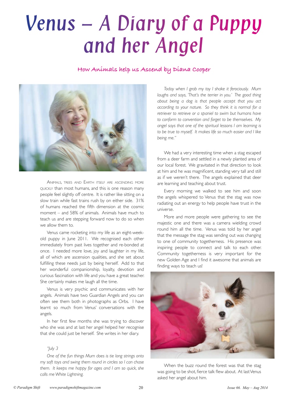 Paradigm Shift Preview Pages