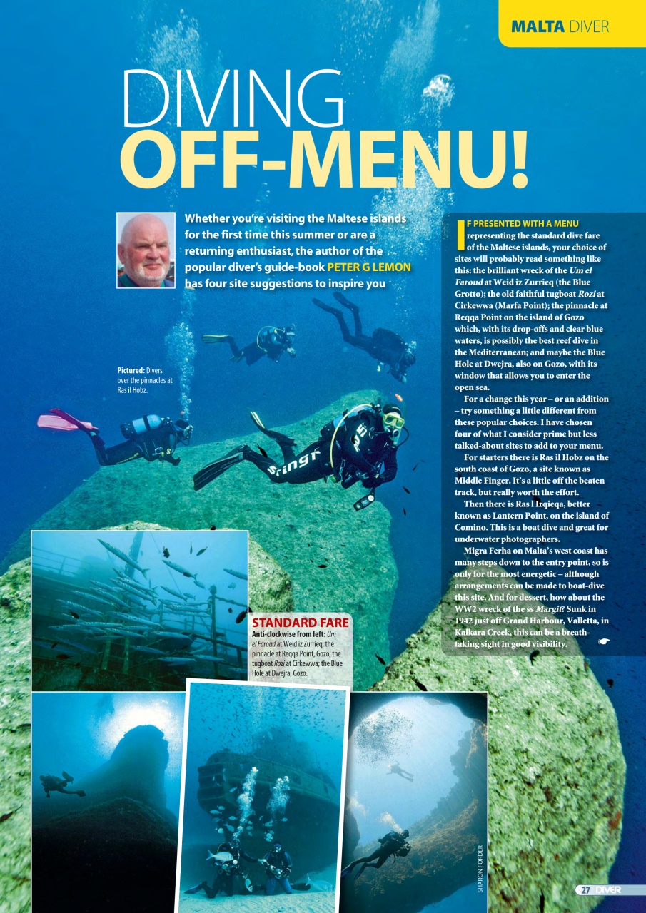 DIVER Preview Pages