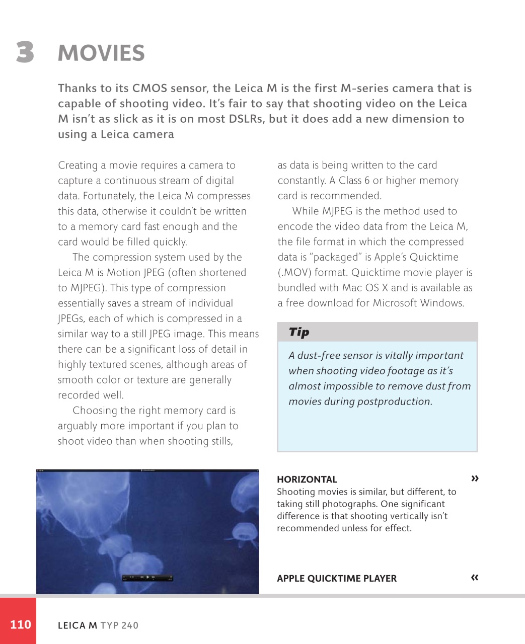 Black+White Photography Preview Pages