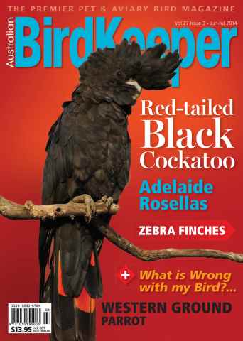 Australian Birdkeeper Magazine issue Volume 27 Issue 3