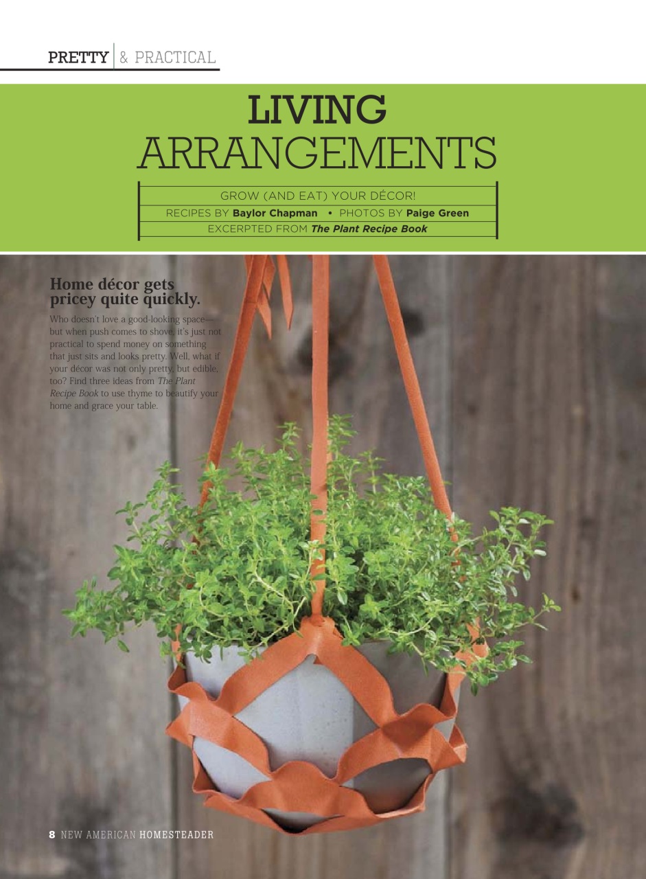 Romantic Homes Preview Pages