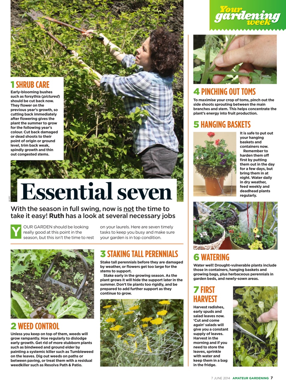 Amateur Gardening Preview Pages
