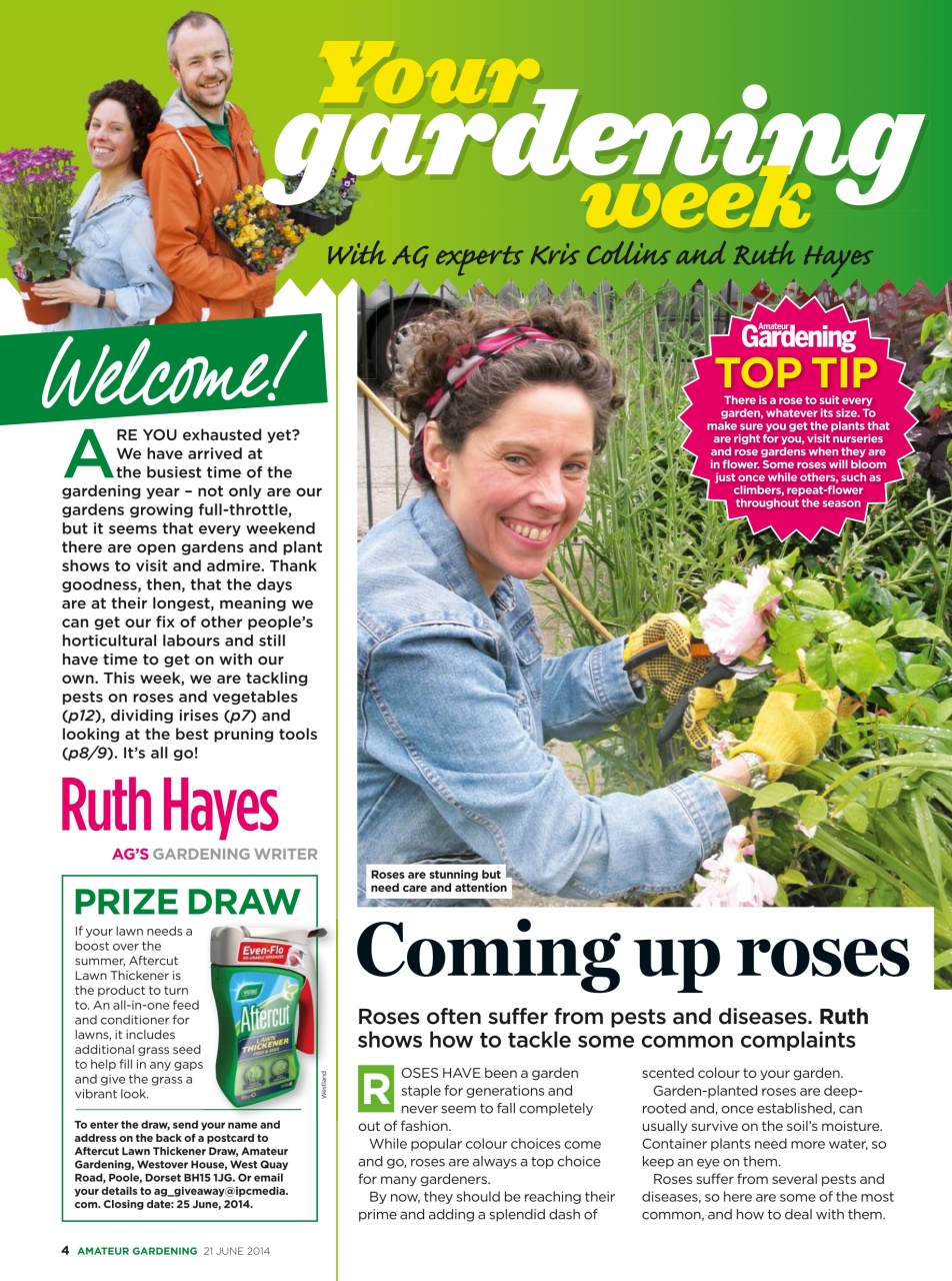 Amateur Gardening Preview Pages