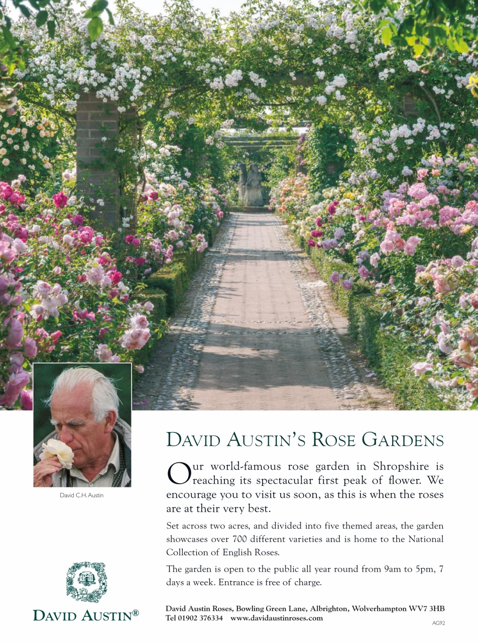 Amateur Gardening Preview Pages