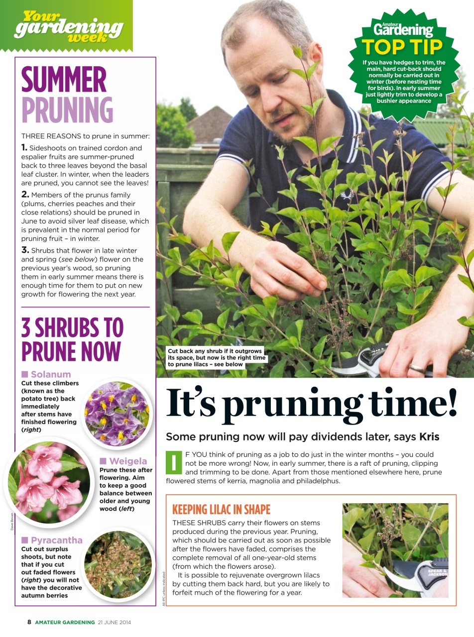 Amateur Gardening Preview Pages
