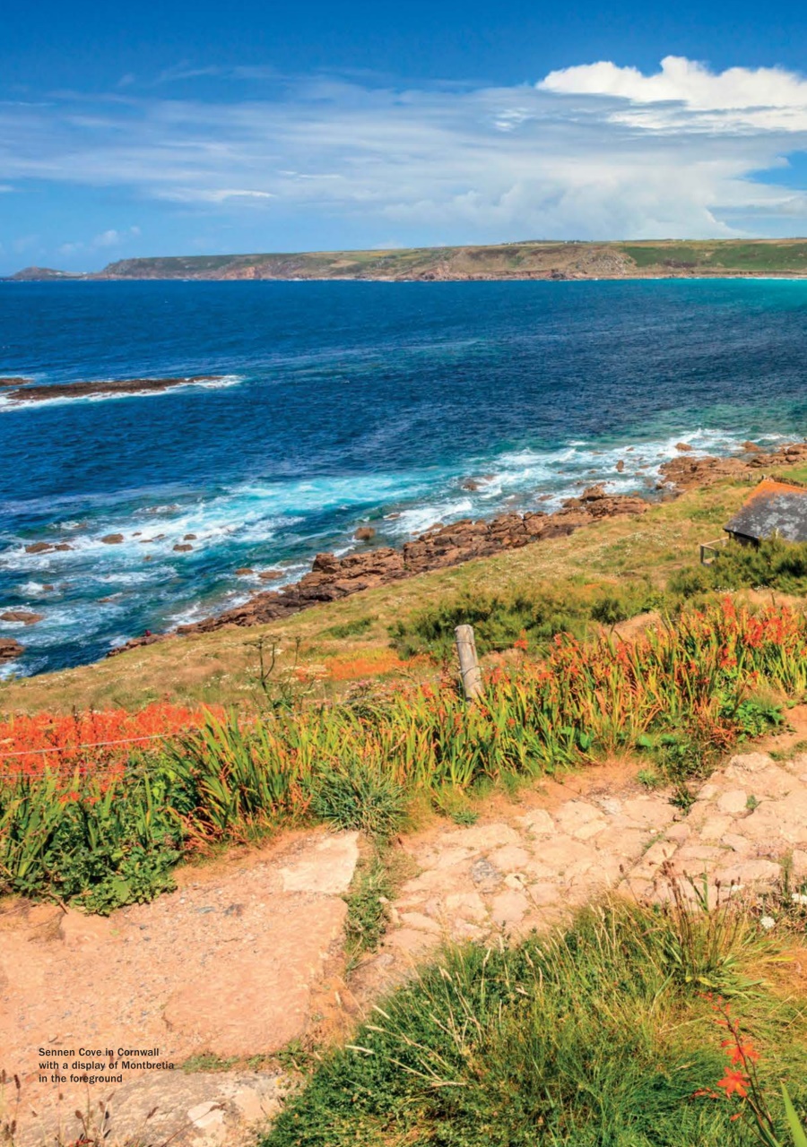 MMM magazine Preview Pages