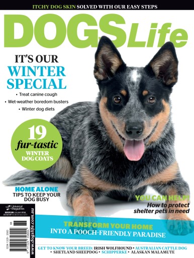 Dogs Life issue 