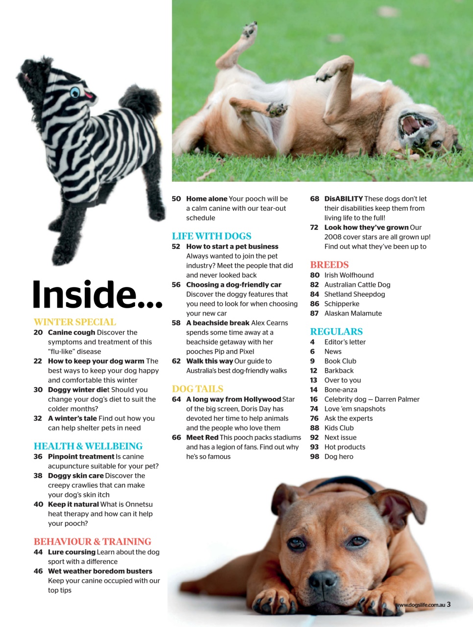 Dogs Life Preview Pages