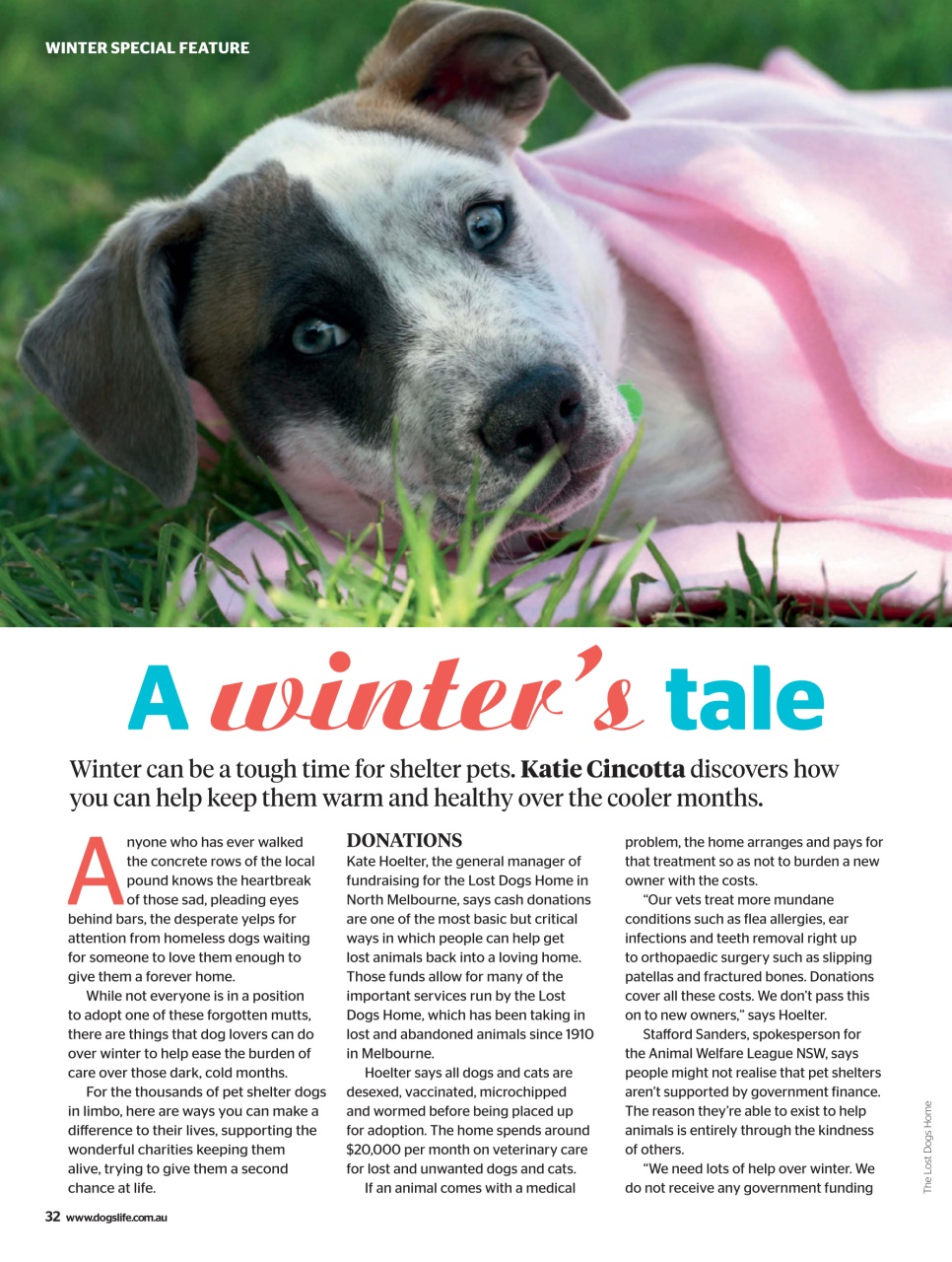 Dogs Life Preview Pages