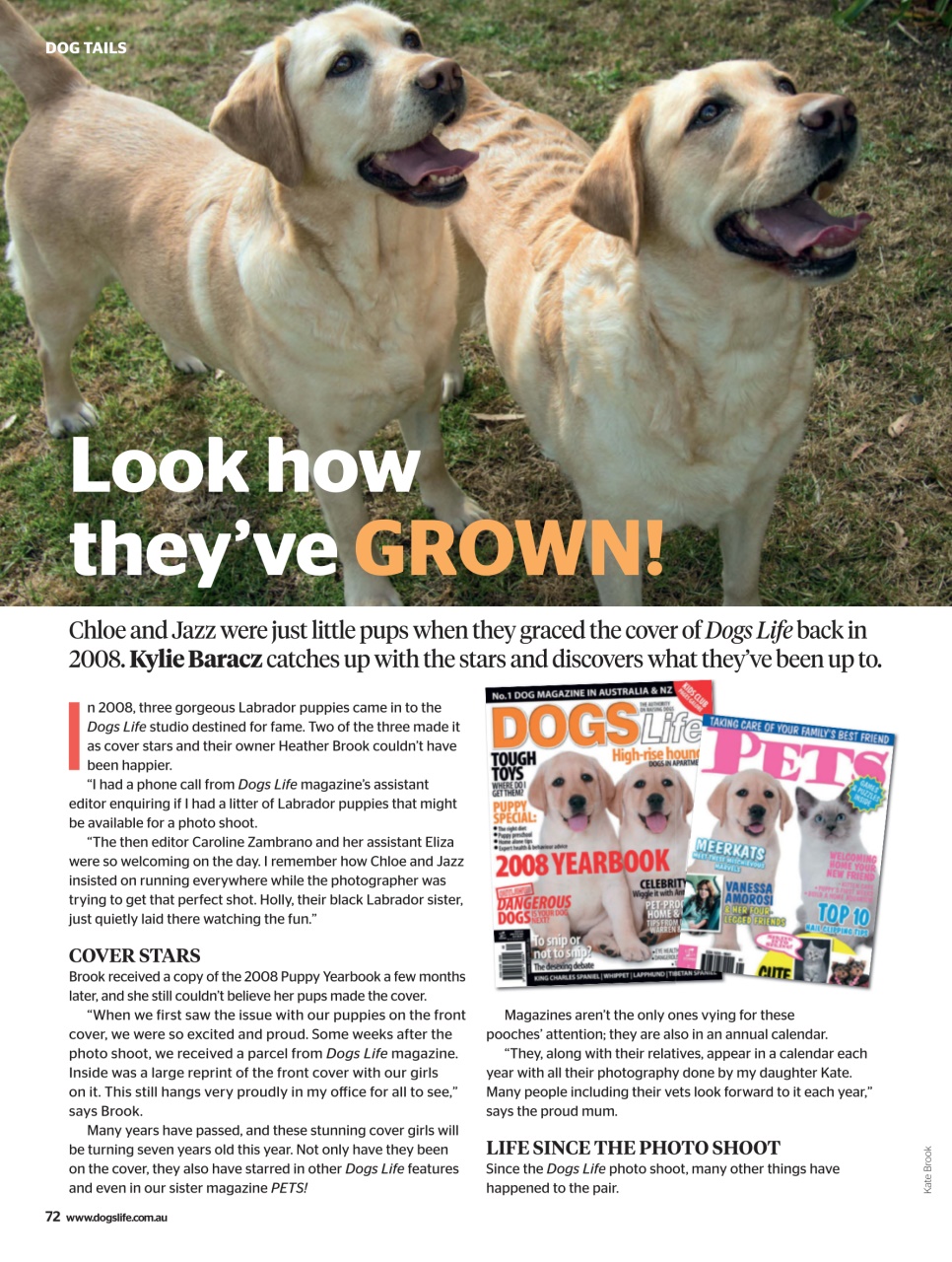 Dogs Life Preview Pages