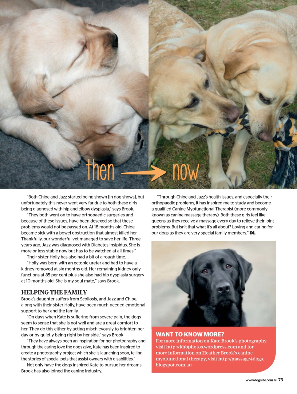 Dogs Life Preview Pages