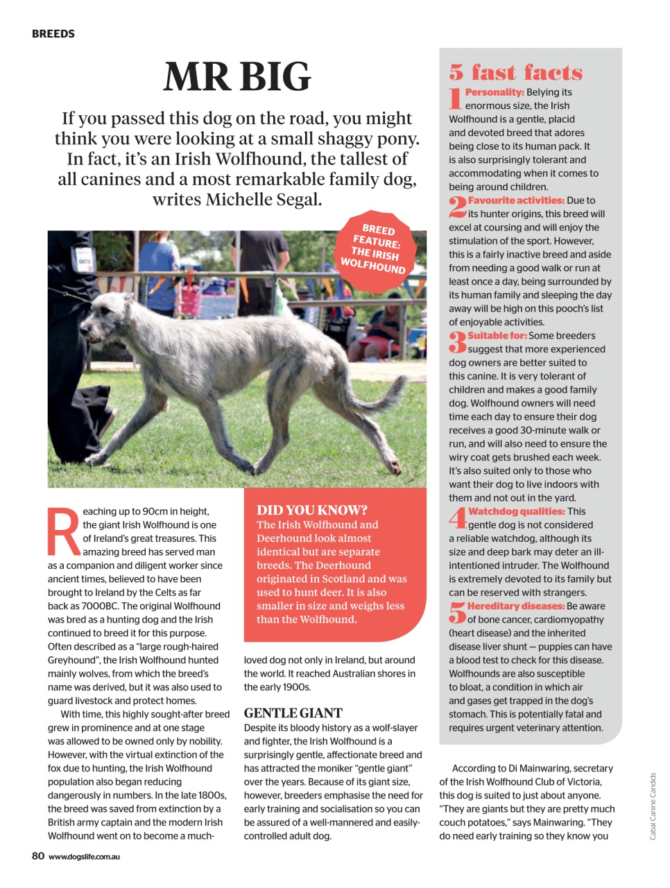 Dogs Life Preview Pages