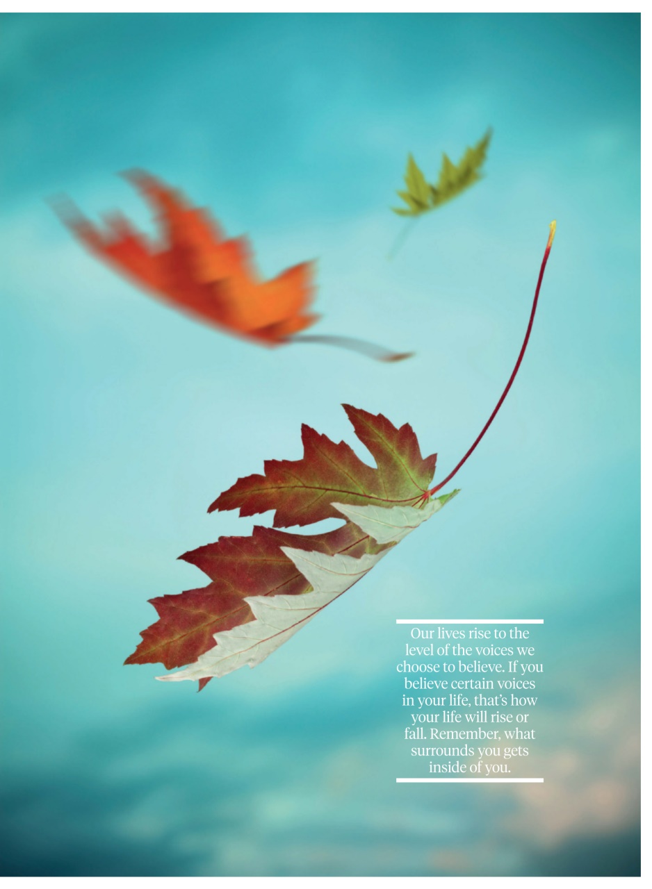 WellBeing Preview Pages