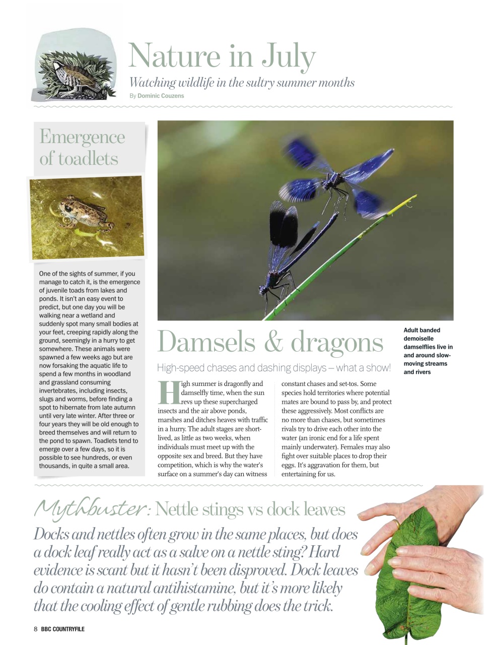 BBC Countryfile Magazine Preview Pages