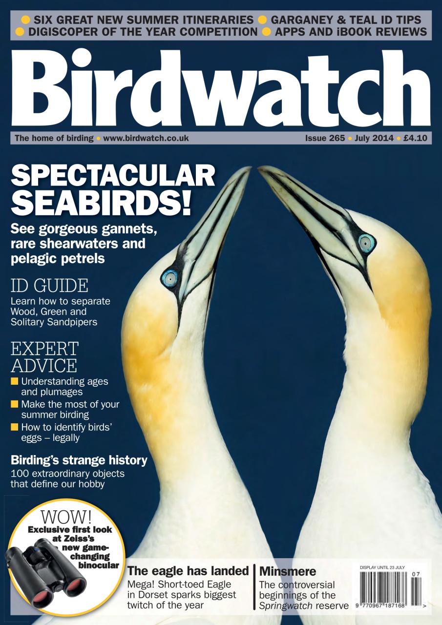 Birdwatch Magazine Preview Pages