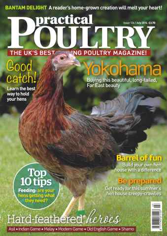 Practical Poultry issue No.126 Yokohama