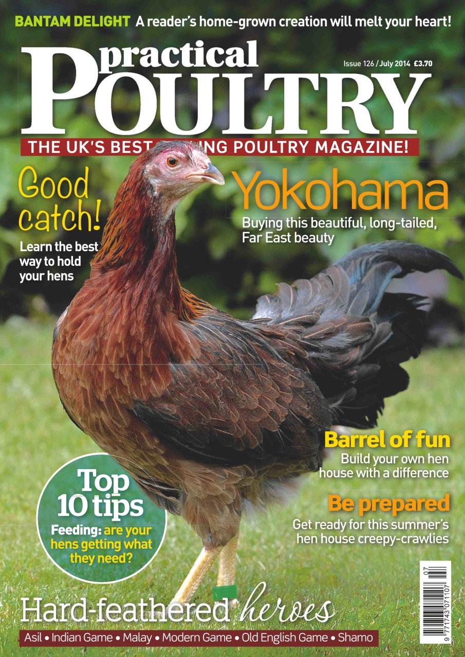 Practical Poultry Preview Pages