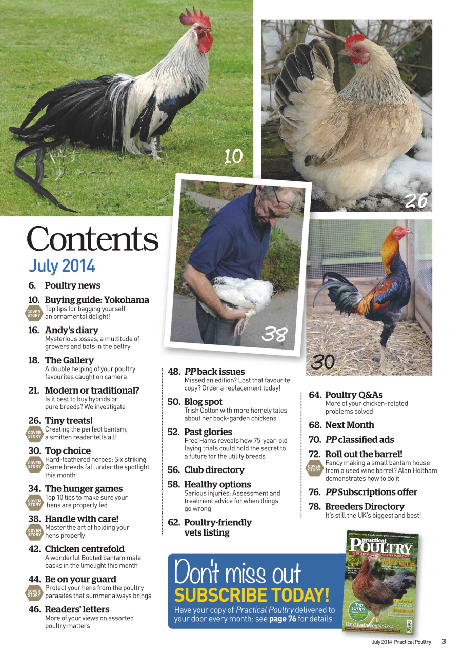 Practical Poultry Preview Pages