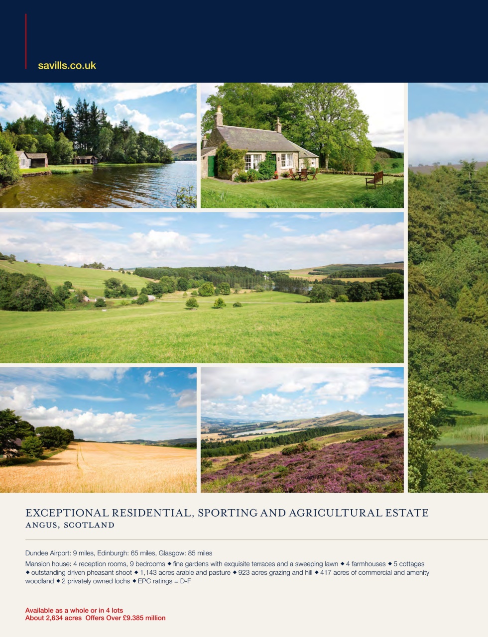 Country Life Preview Pages