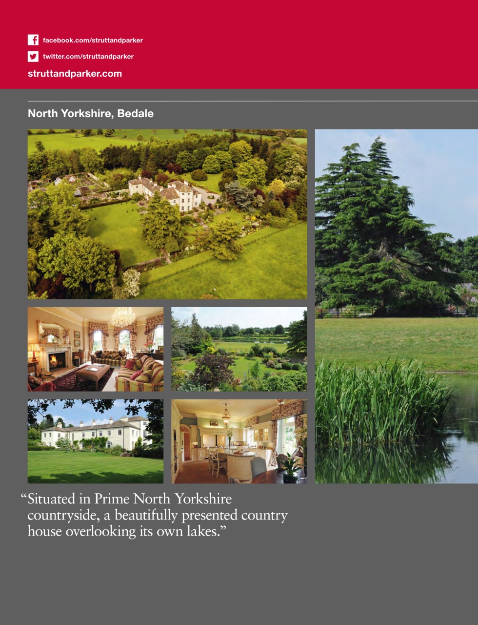Country Life Preview Pages
