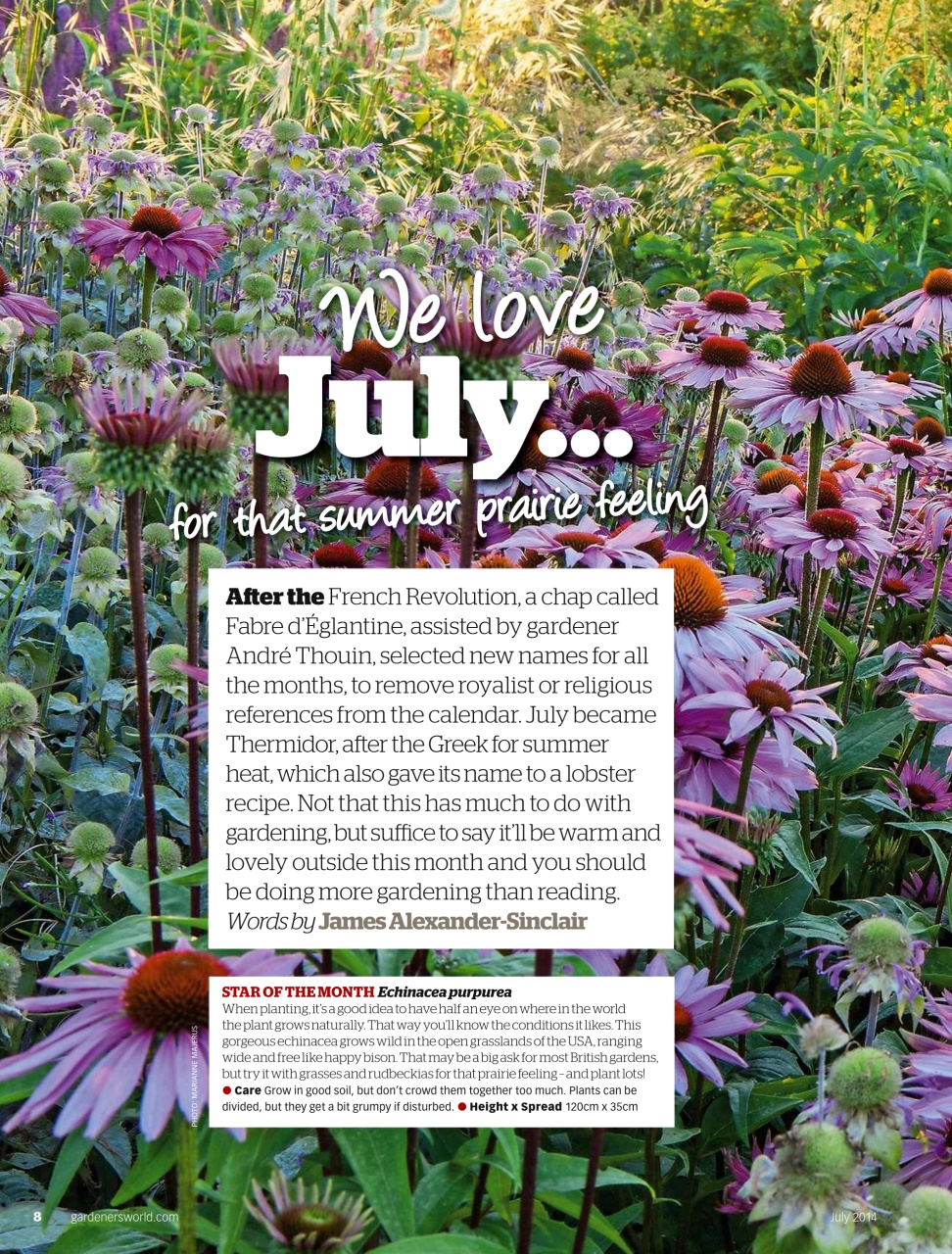 BBC Gardeners’ World Magazine Preview Pages