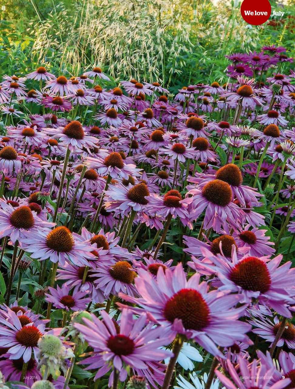 BBC Gardeners’ World Magazine Preview Pages