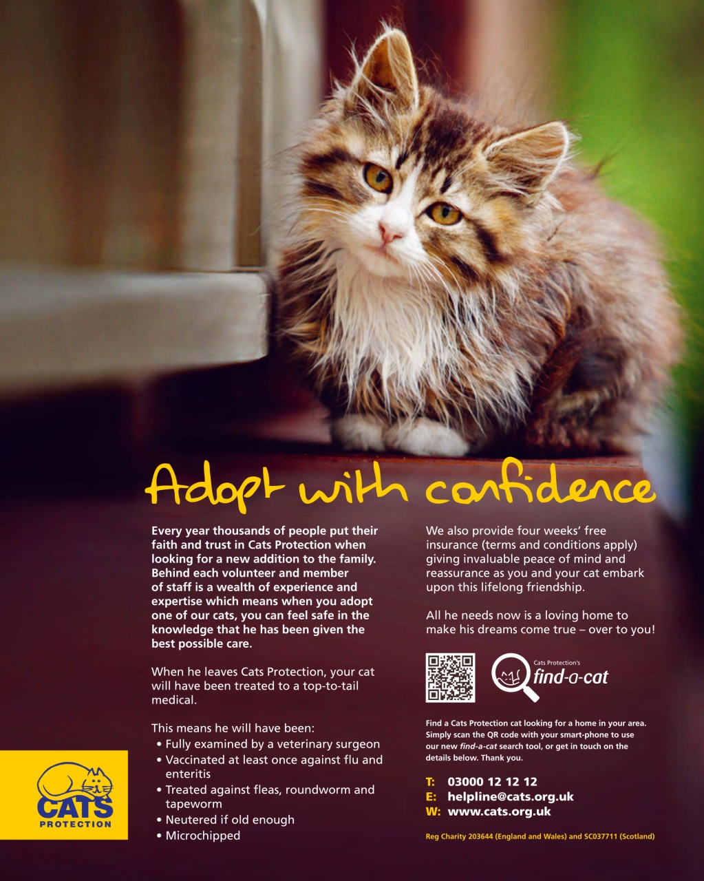 Vegetarian Living Preview Pages