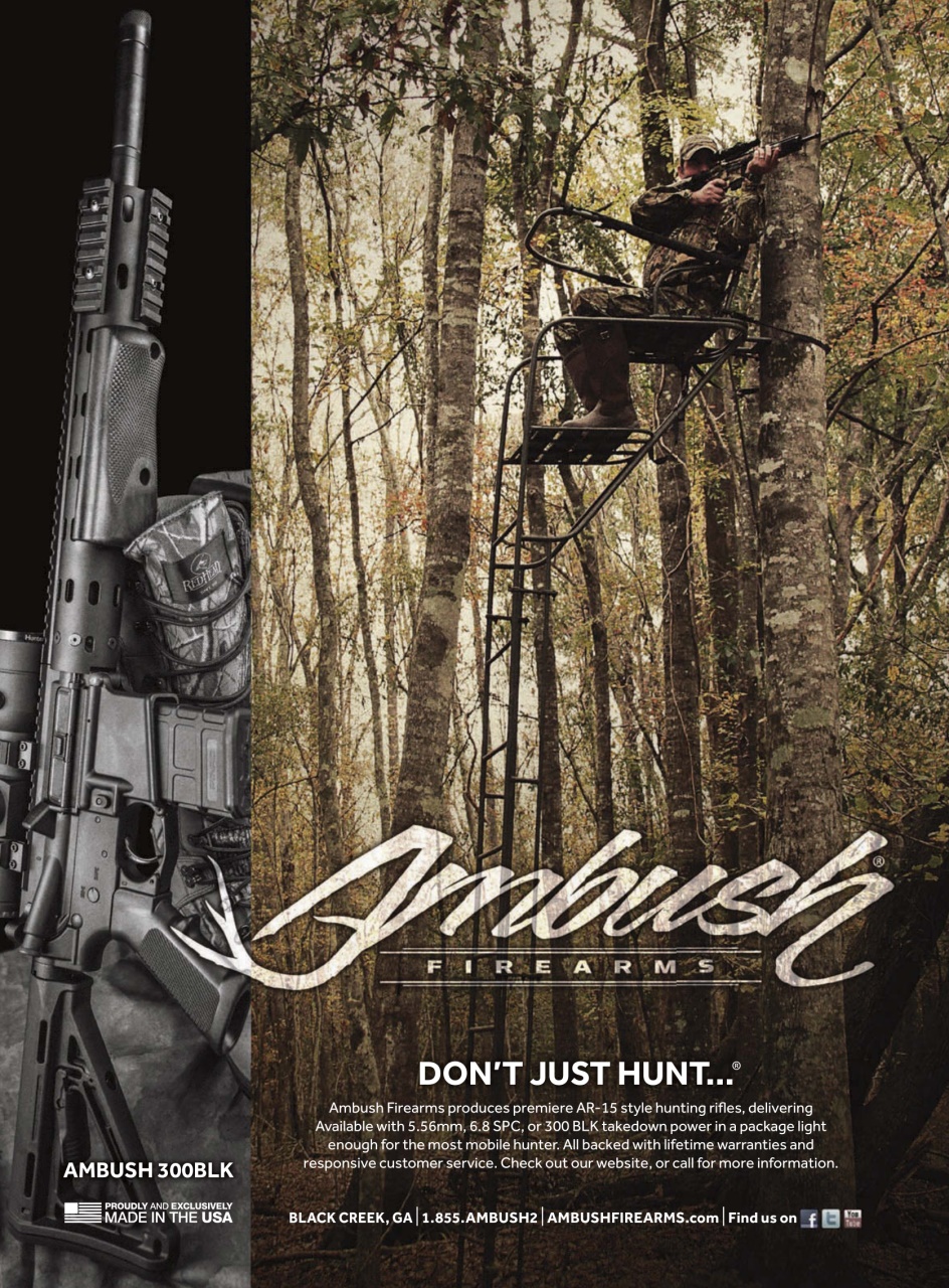 Gun World Preview Pages