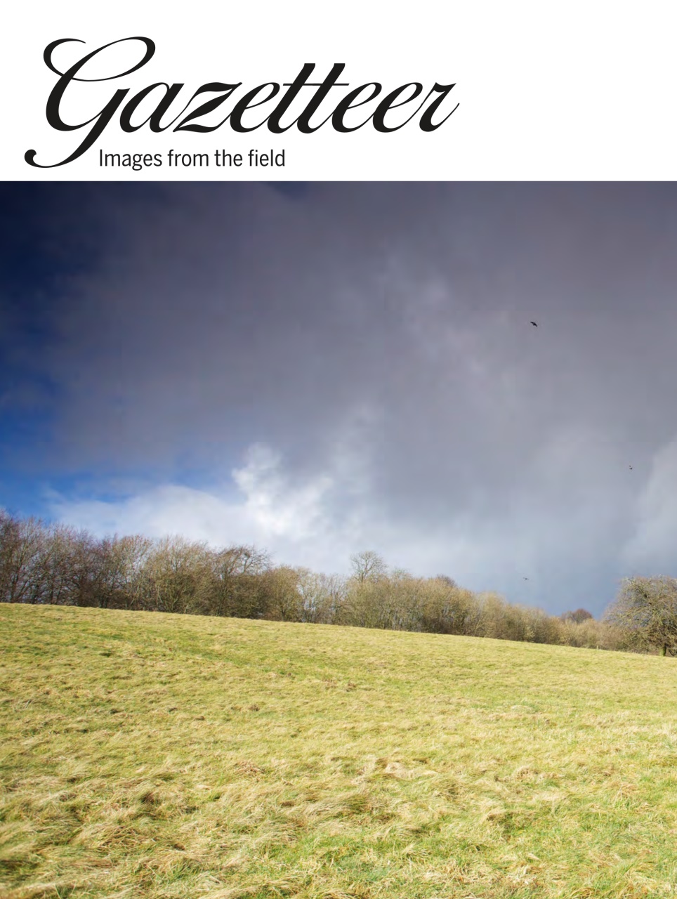 Shooting Gazette Preview Pages