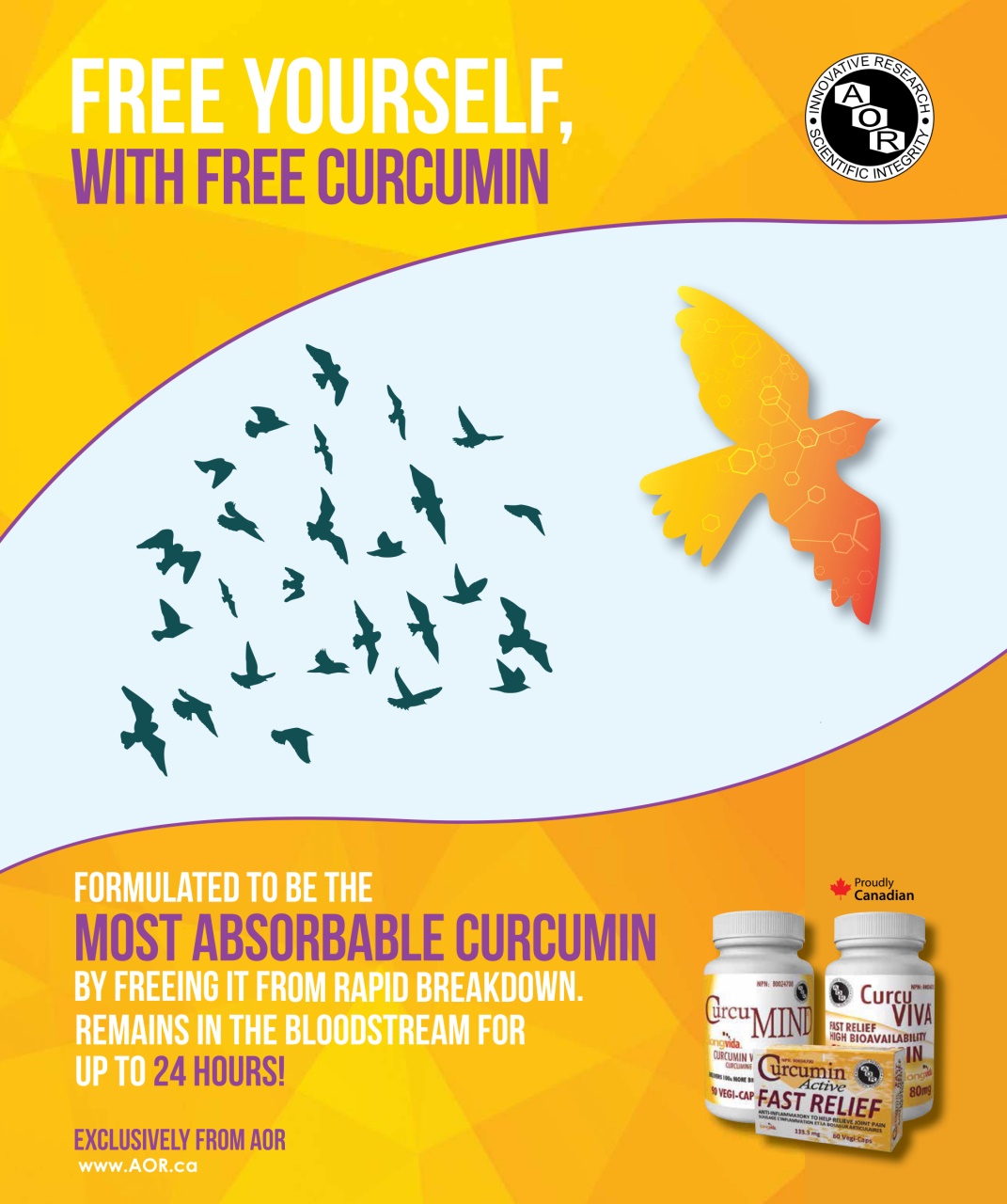 Avenue Calgary Preview Pages