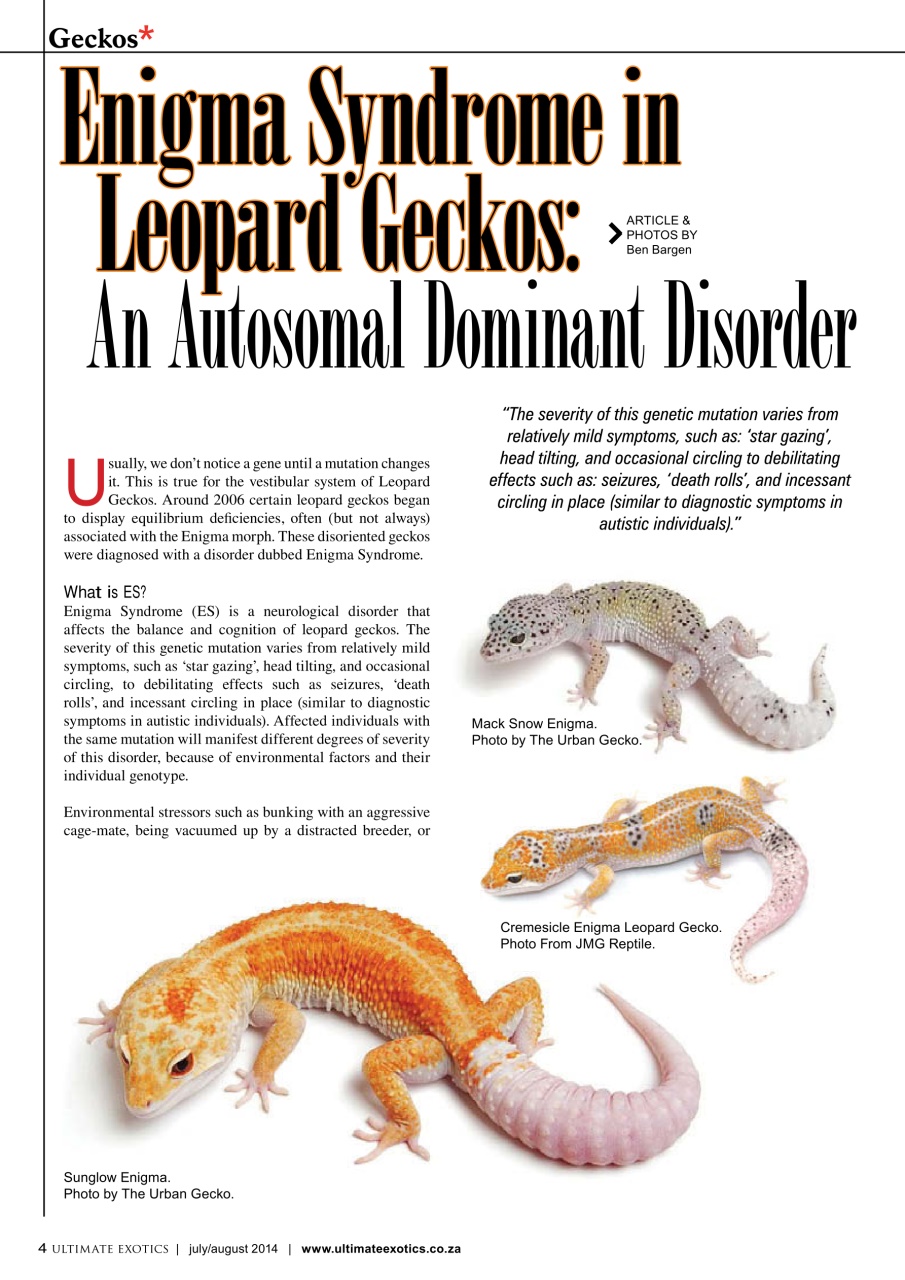 Ultimate Exotics Preview Pages