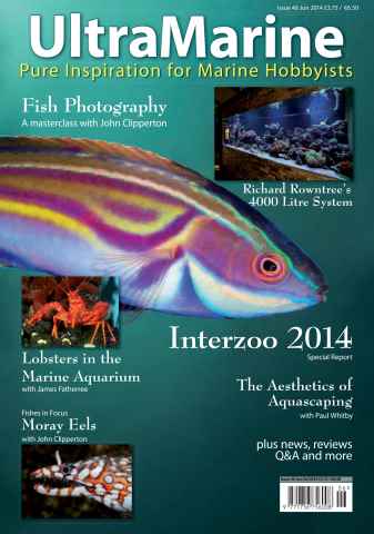 UltraMarine Magazine issue Issue 46