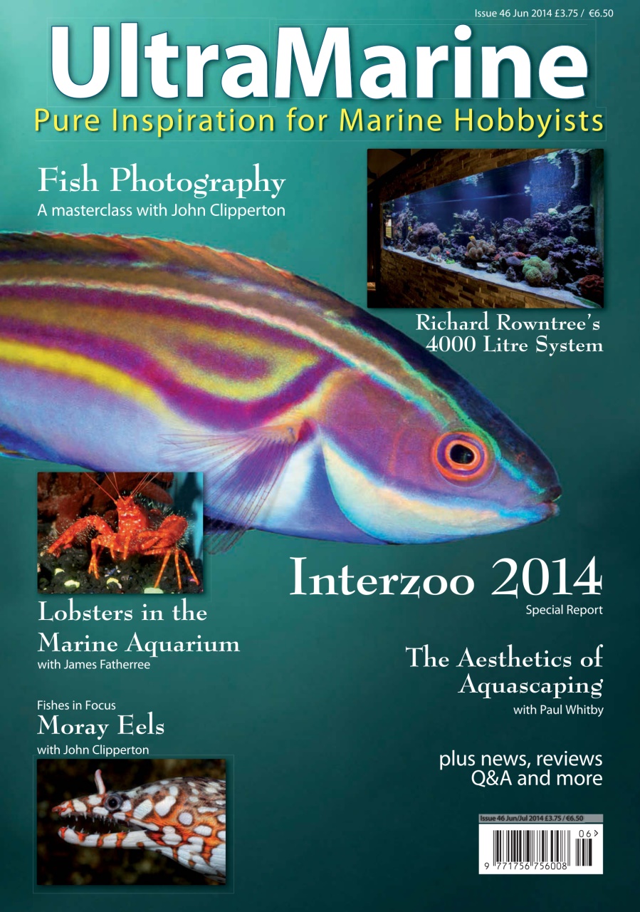 UltraMarine Magazine Preview Pages