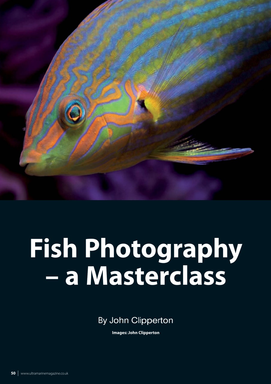 UltraMarine Magazine Preview Pages