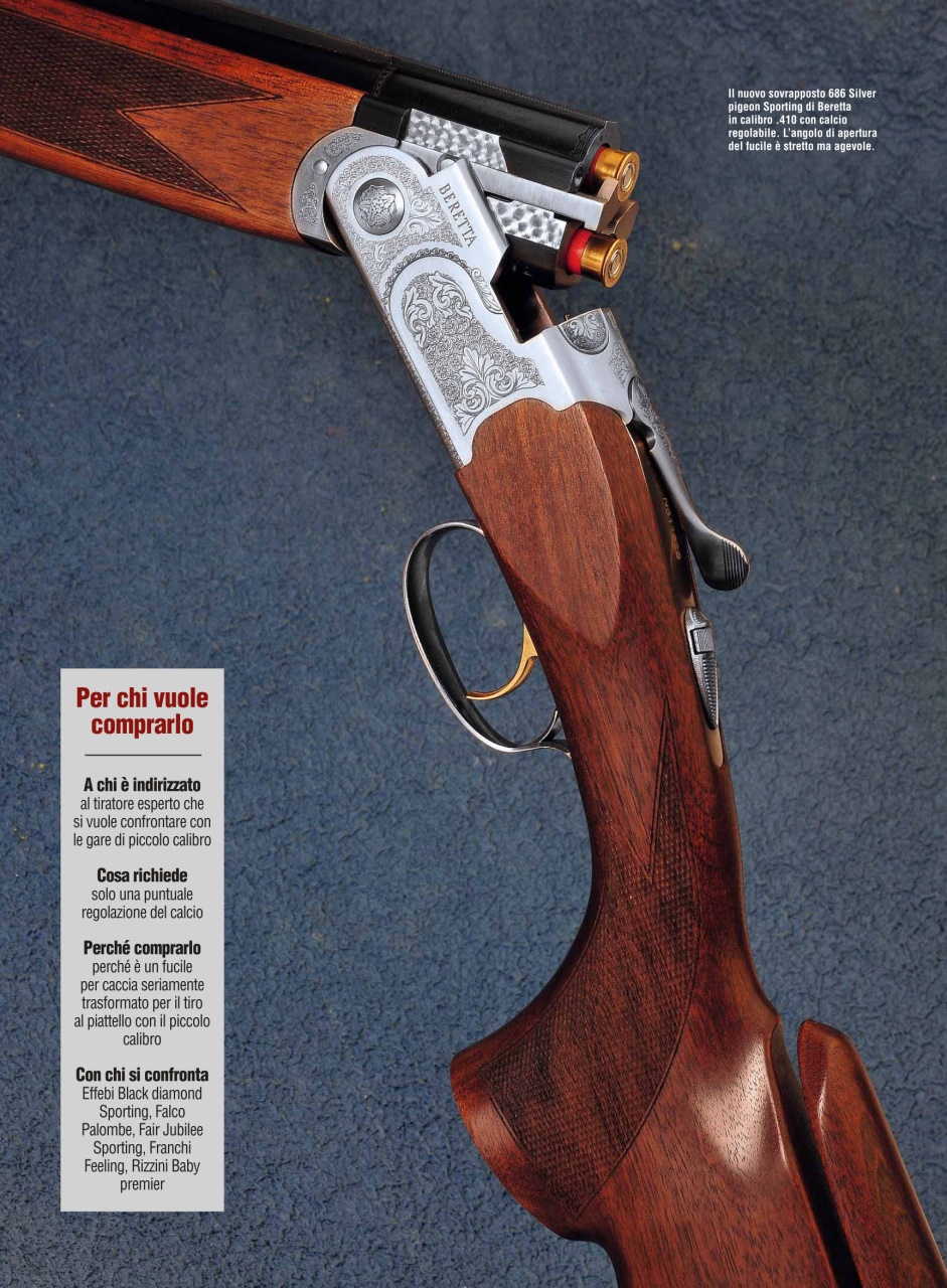 Armi E Tiro Preview Pages