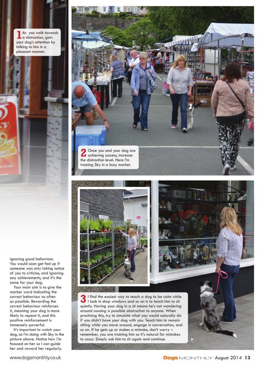 Dogs Monthly Preview Pages