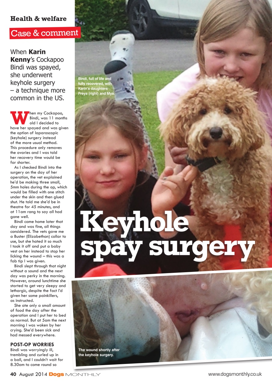 Dogs Monthly Preview Pages