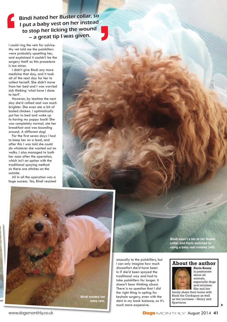 Dogs Monthly Preview Pages