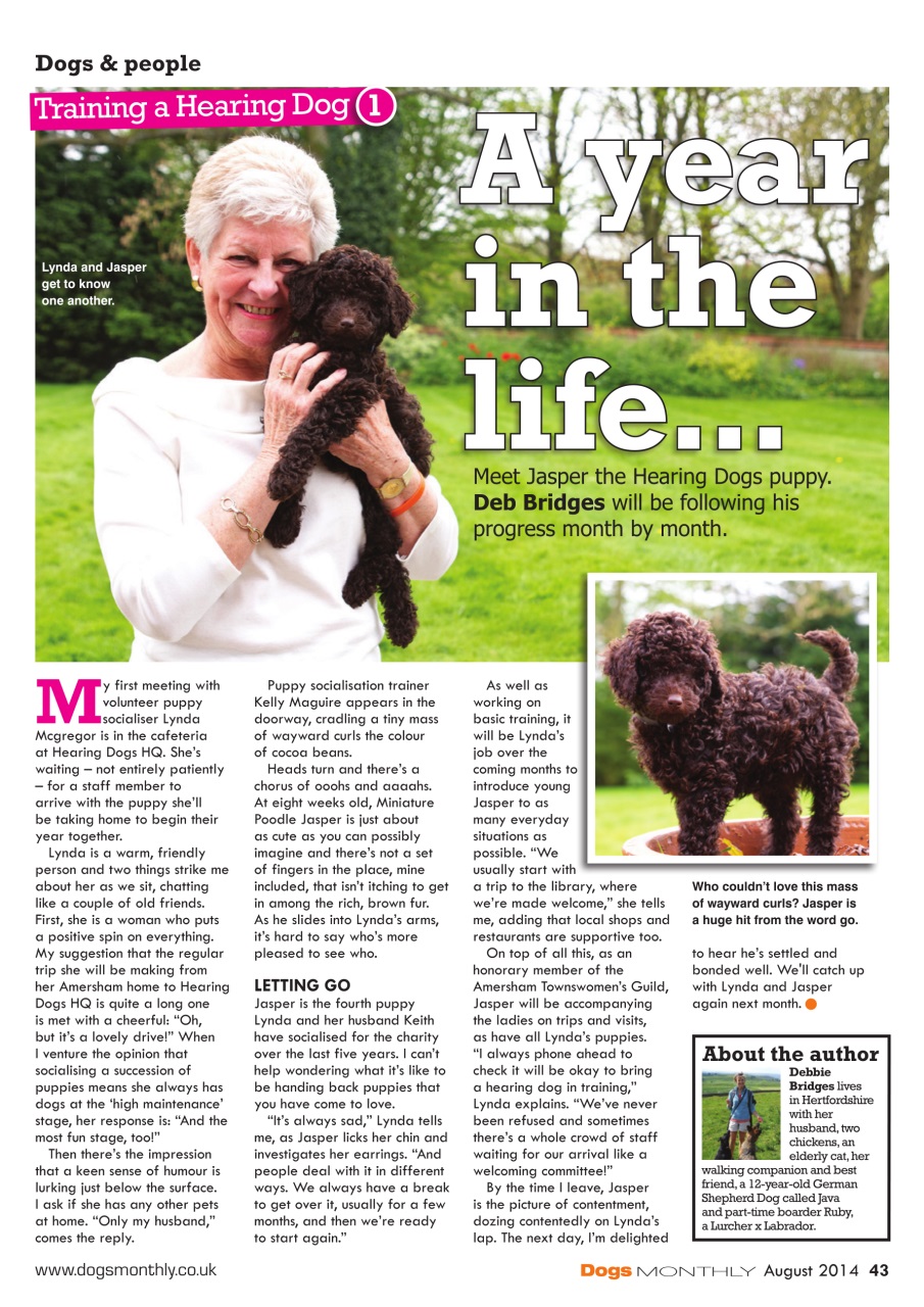 Dogs Monthly Preview Pages